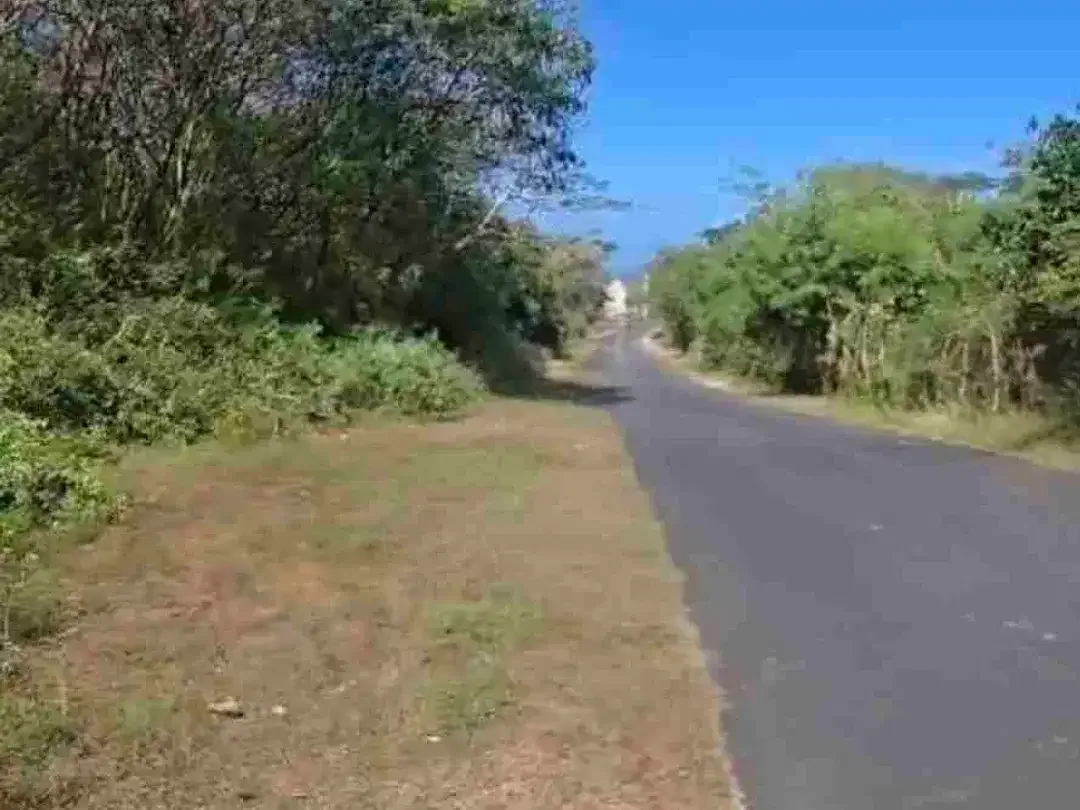 Jual Tanah Luas 6.06Hektar Zona Pink /Zona Pariwisata Jl Gunung Payung ,ungasan - Bali - Image 5 of 8