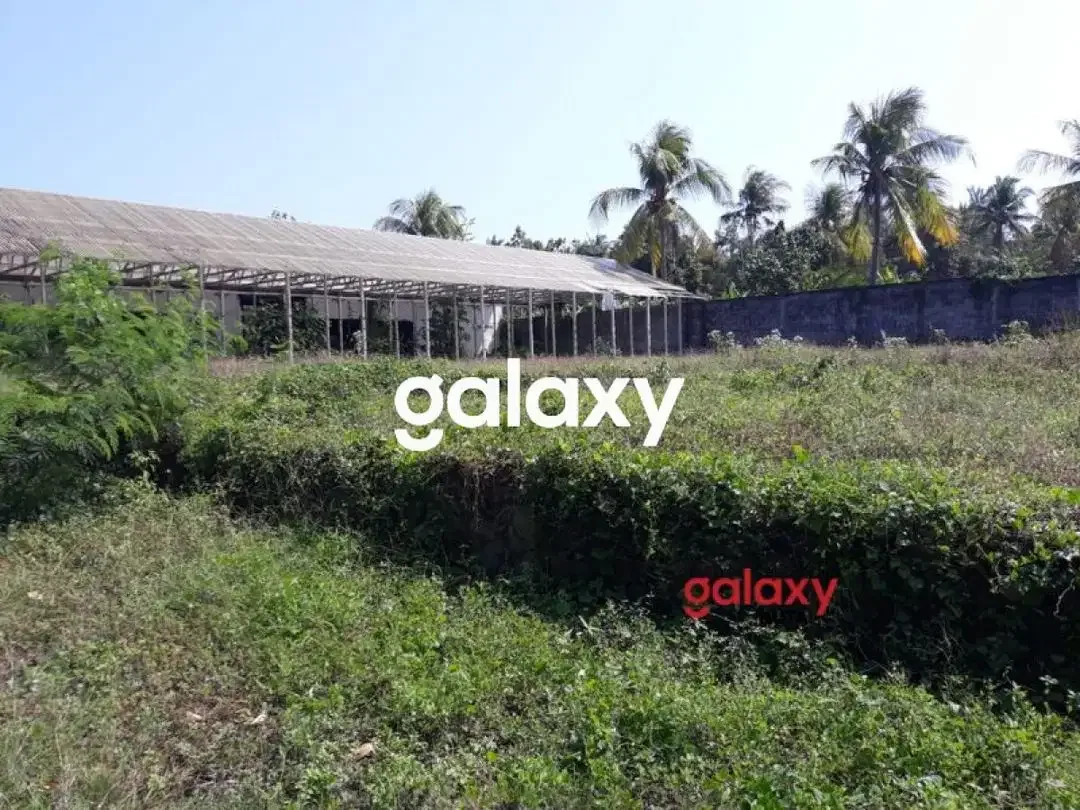 DIJUAL TANAH + GUDANG PANTAI RENING BALUK NEGARA JEMBRANA, BALI - Image 6 of 7