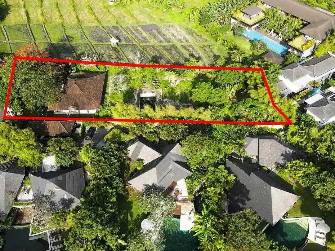 Tanah PREMIUM View Sawah Jl Umalas Kuwum Kerobokan - Image 8 of 10