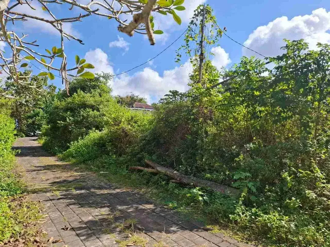 TANAH FOR SALE UNTUK VILLA ATAU INVESTASI  Kutuh - Bali. - Image 1 of 6