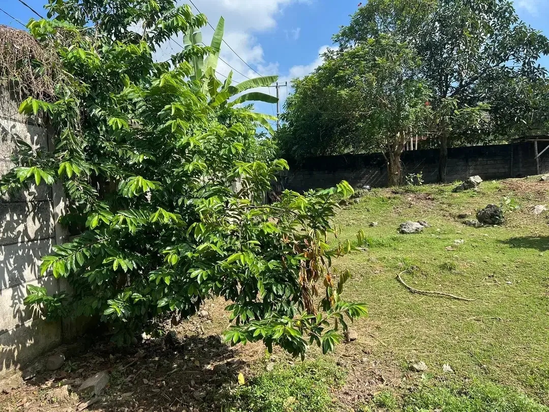 DIJUAL TANAH LOS SUNGAI NYANYI ZONA KUNING - Image 6 of 10