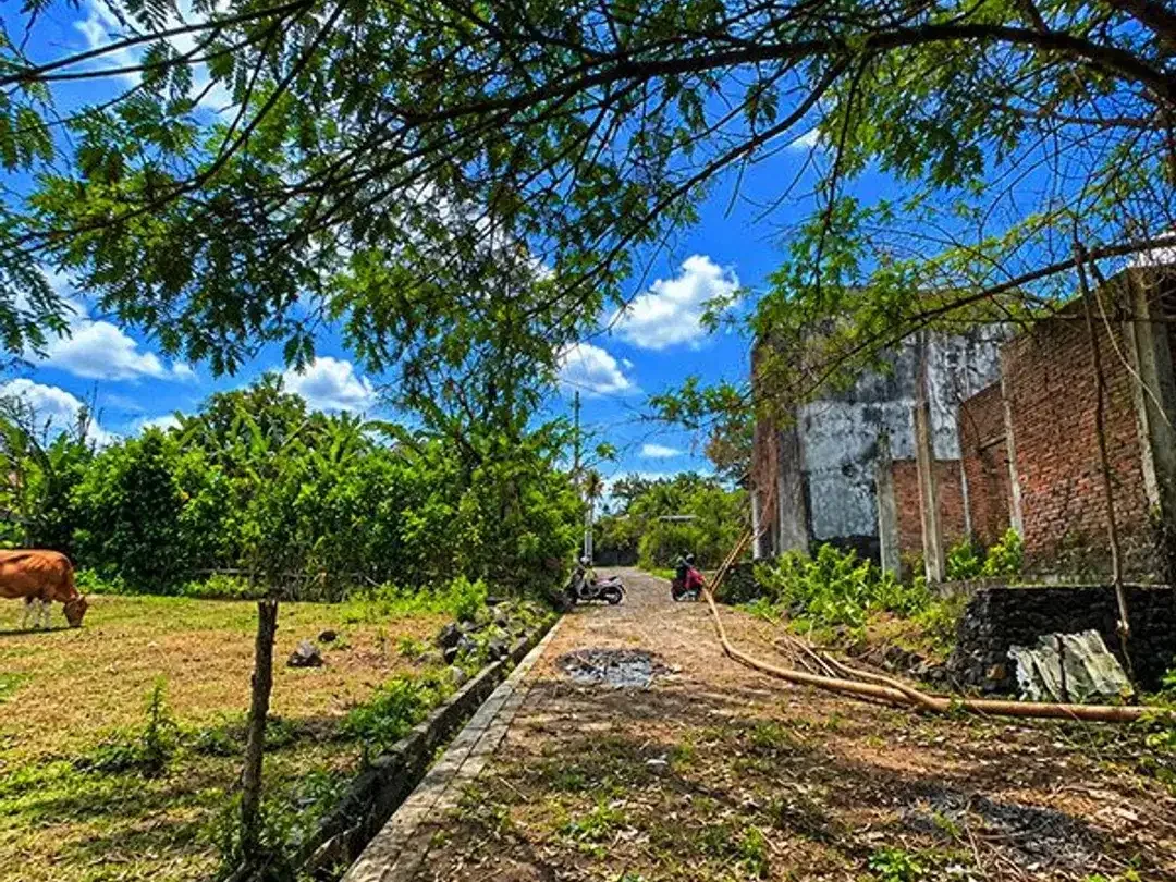 [AMS-102.BLR] Dijual Tanah Kavling Siap Bangun - di dalam Perumahan Denbantas Tabanan - Image 7 of 10