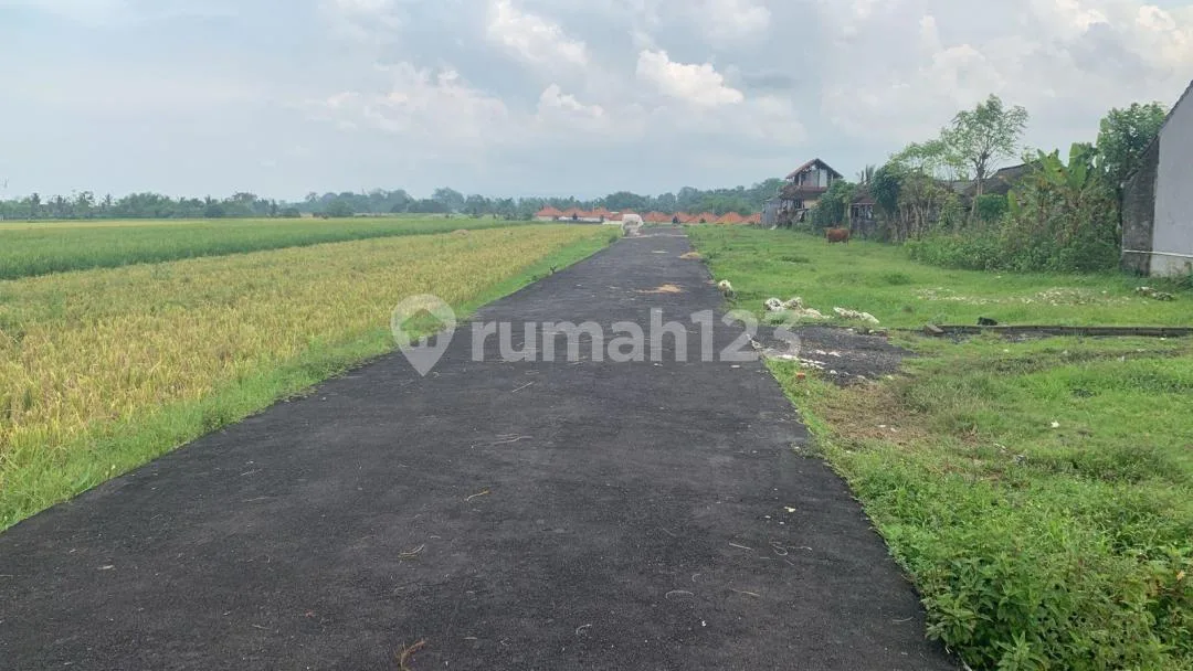 Dijual Tanah Tabanan Kavling 1 Are View Sawah #6436 - Image 1 of 4