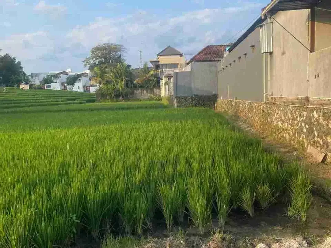 tanah bagus cocok untuk hunian, villa dll - Image 2 of 5