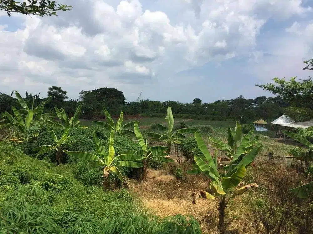 LAHAN LOKASI PINGGIR JALAN UTAMA PANTAI MATAHARI TERBIT SANUR - Image 9 of 10