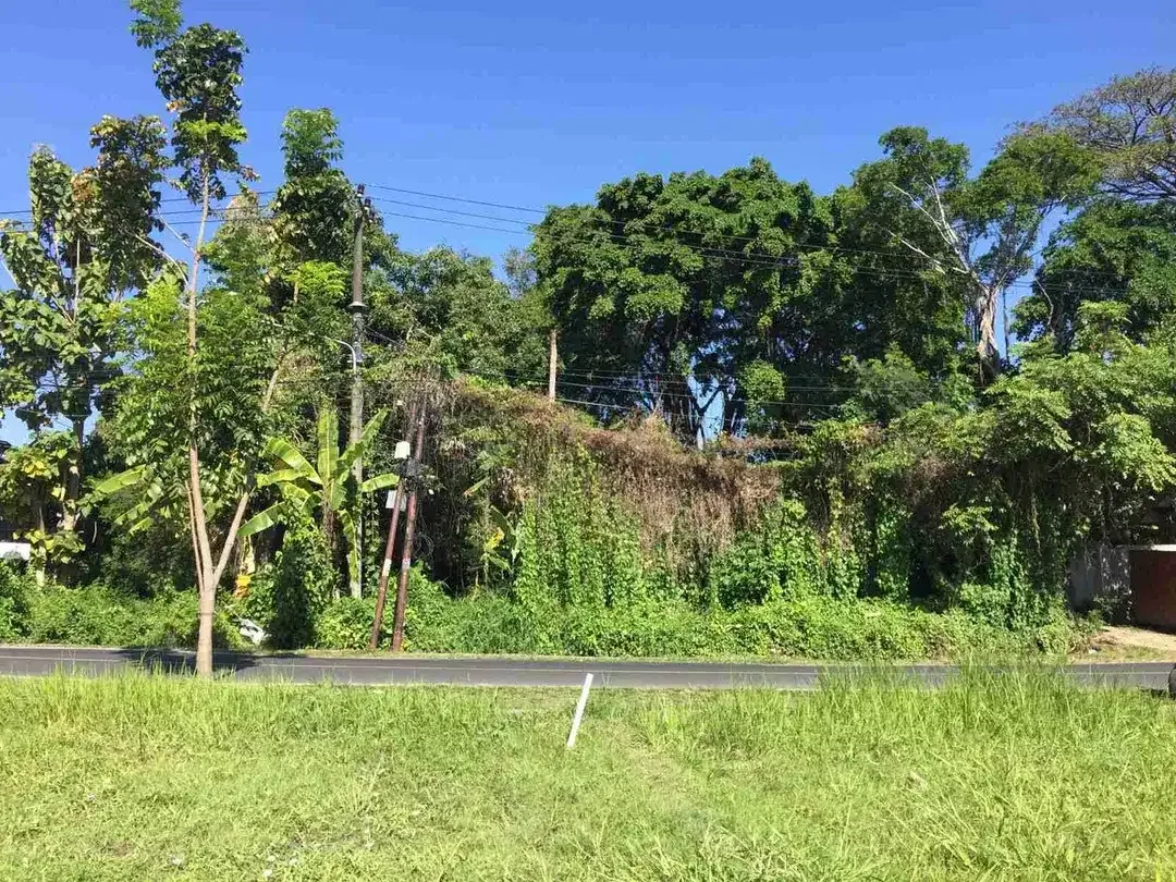Di jual Tanah 800m² yang terletak Di kawasan Jl.Raya Utama Padang Linjong - Image 4 of 6