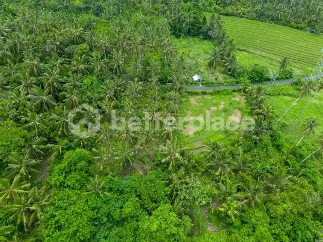 Prestigious 23.9 are Freehold Jungle Land in Balian – A Rare Investment Opportunity Blending Natural Serenity with Coastal Elegance - Image 4 of 10