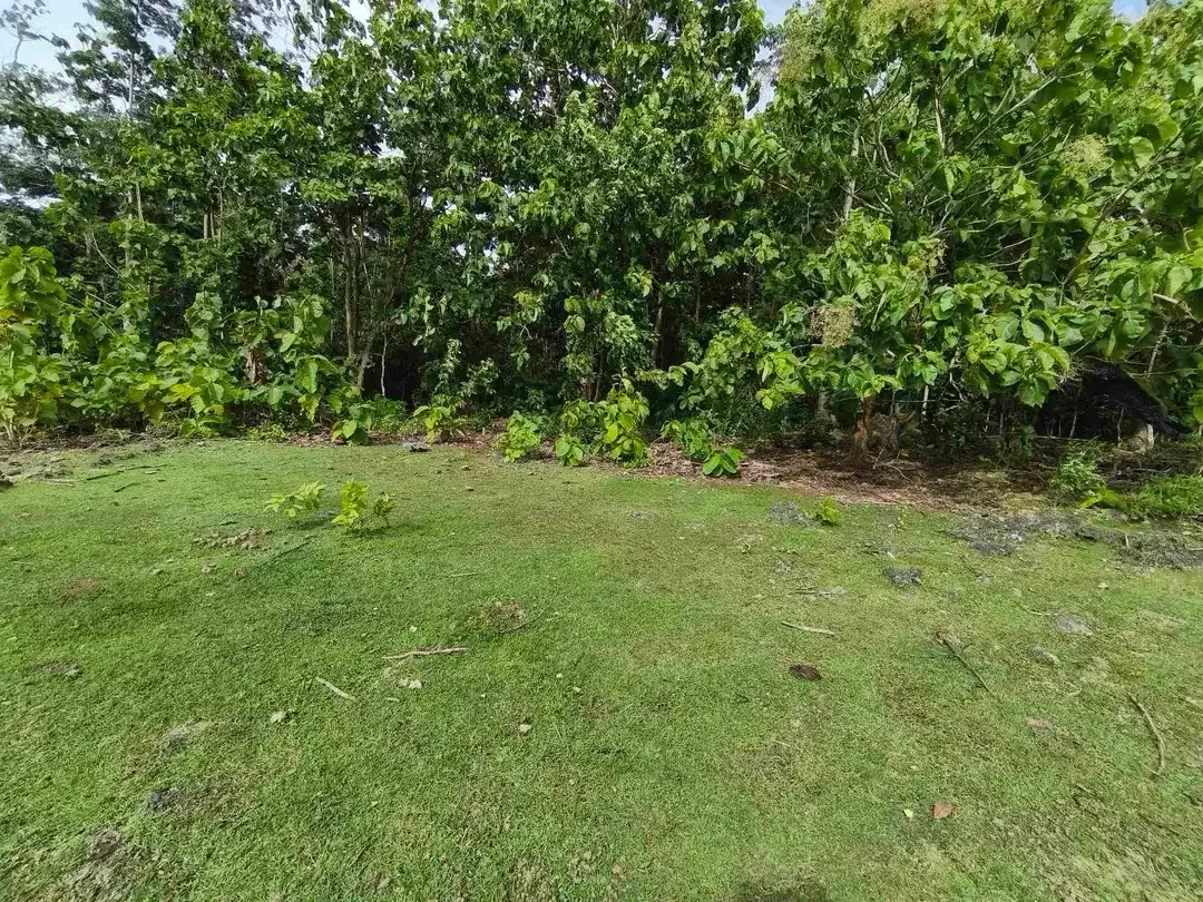 dijual tanah 1430m² IDR 750 juta per are kawasan pantai balangan jimbaran - Image 7 of 10