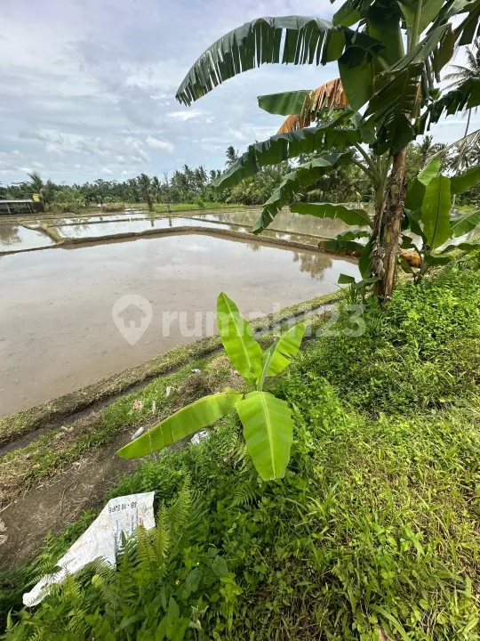 Tanah View Sawah Lingkungan Vila Zona Kuning - Image 2 of 4