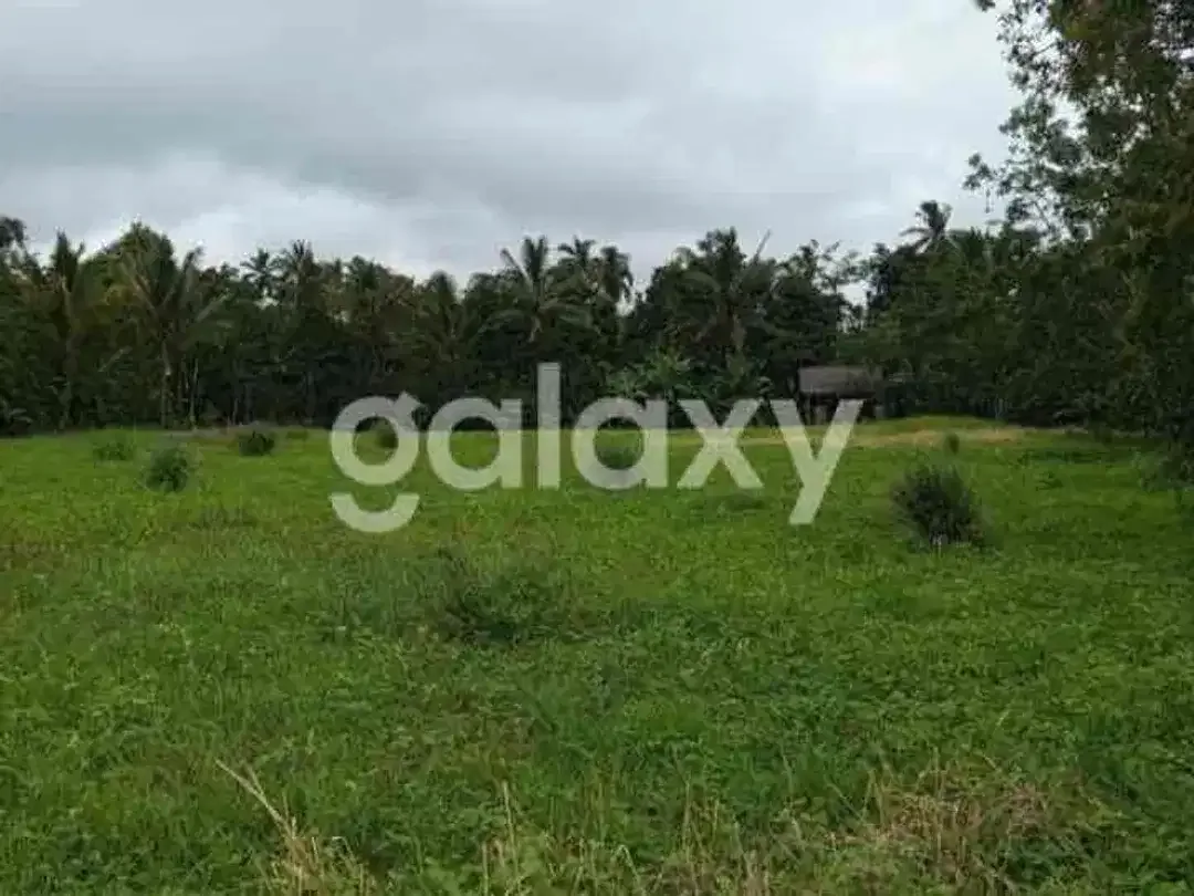 DIJUAL TANAH DAERAH PETANG BADUNG BALI - Image 3 of 9