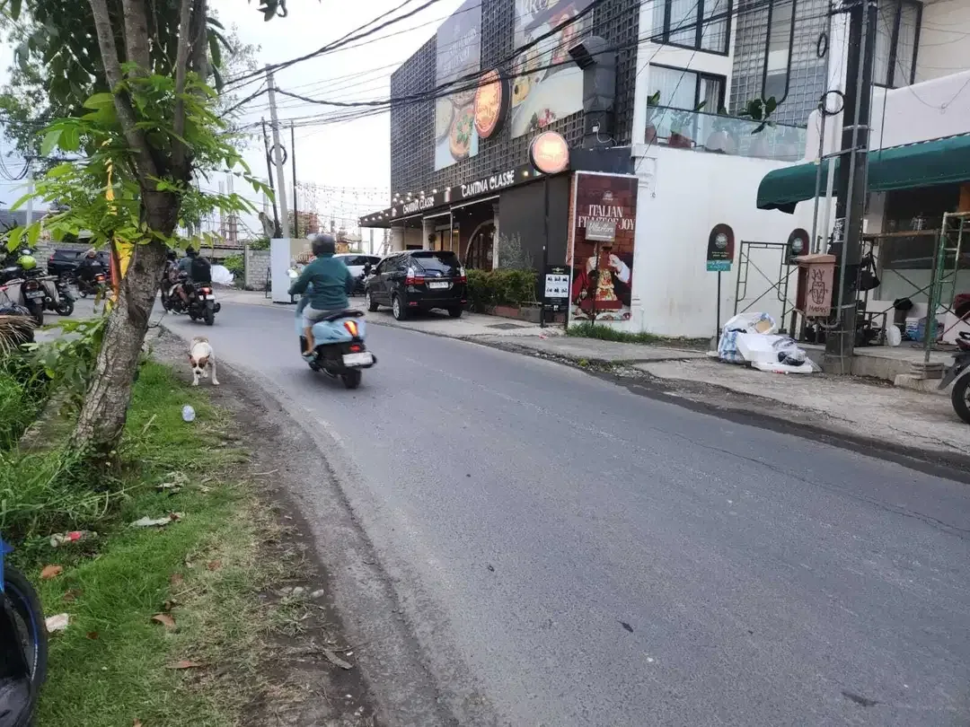 Tanah Komersial Disewakan di Padang Linjong Canggu - Image 4 of 7