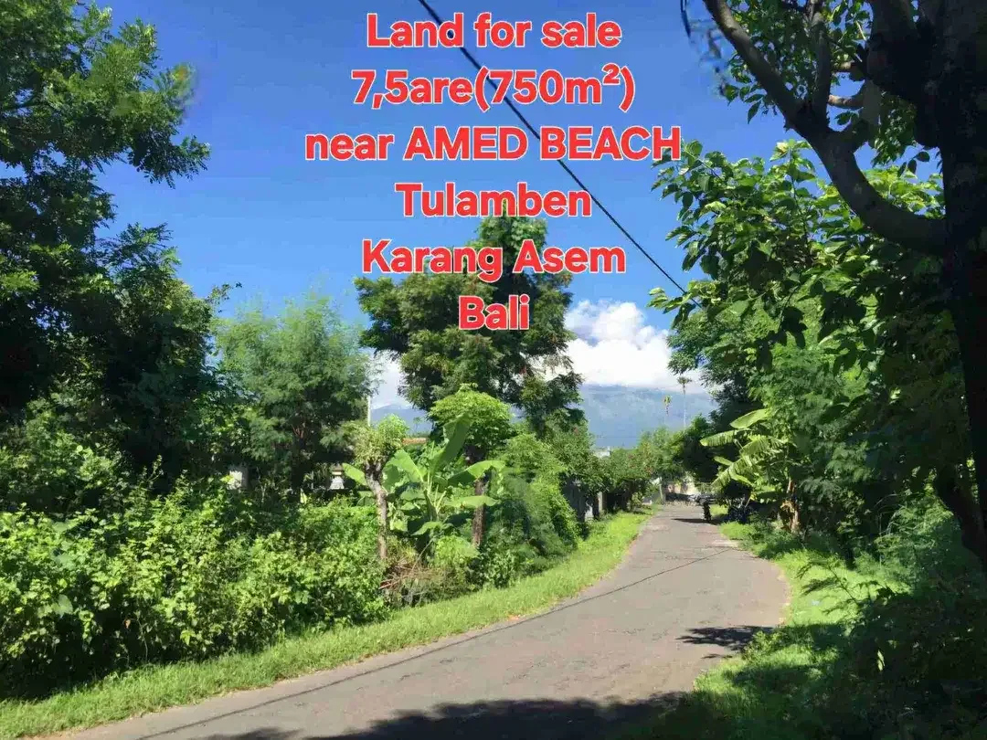 LAND FOR SALE 7,5 ARE view AMED BEACH, Tulamben KARANG ASEM BALI - Image 7 of 10