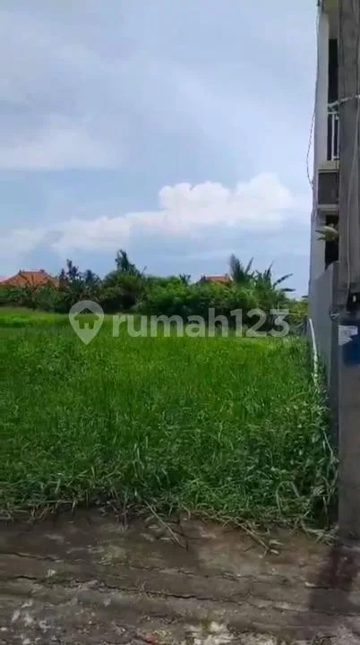 Tanah Luas Strategis Jual Cepat di Tabanan - Image 4 of 4