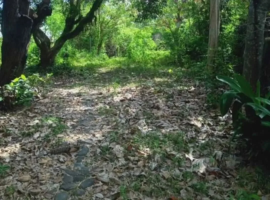 DIJUAL TANAH DI CANGGU KAWASAN KUTA, DIJUAL TANAH LUAS DI BADUNG UTARA BALI. - Image 1 of 5