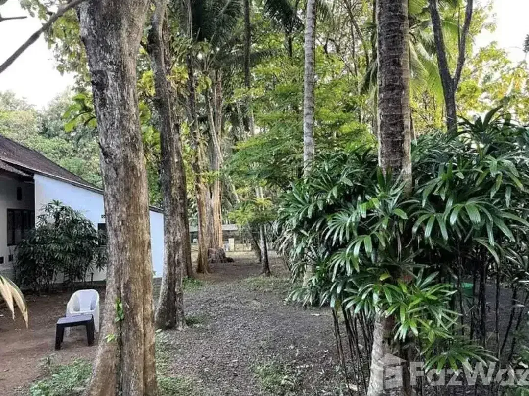 Land for sale in Kaba Kaba, Bali - Image 3 of 10