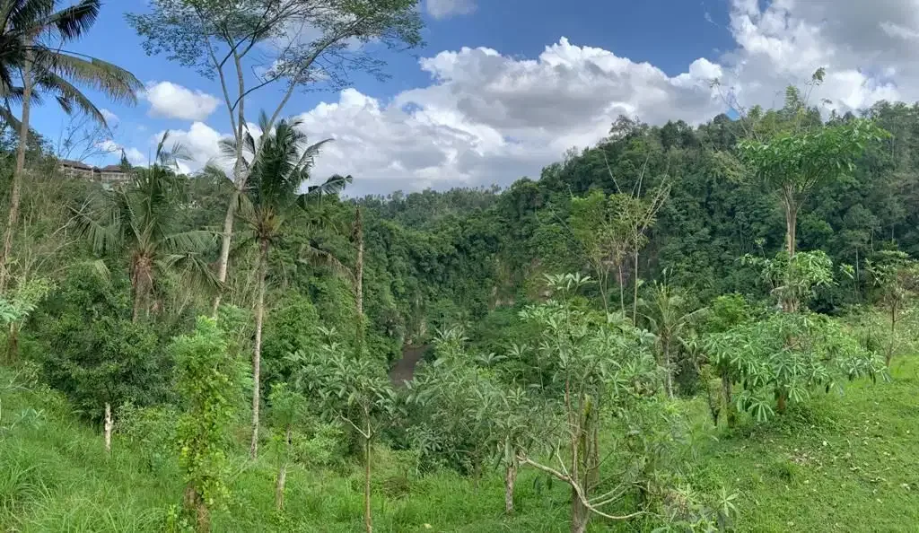Tanah Strategis Lokasi Payangan - Image 1 of 5