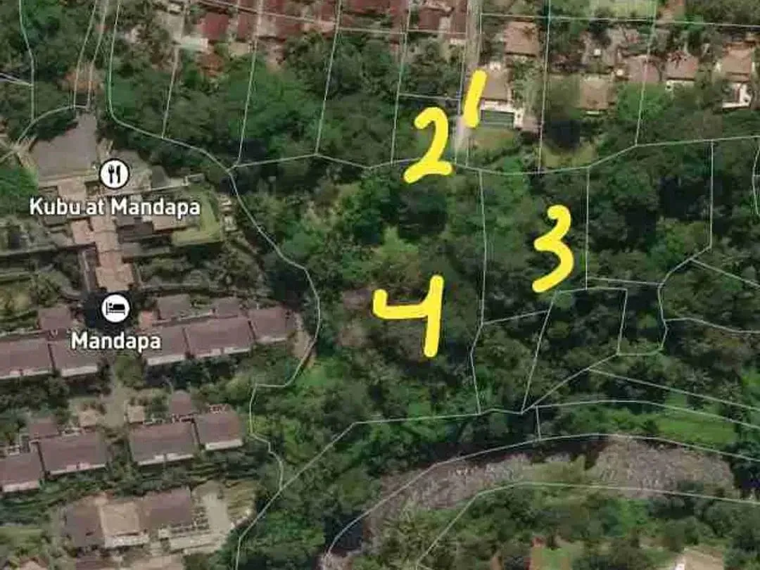 Tanah Komersial Los Sungai Ayung Dekat Mandapa Ubud - Image 2 of 10