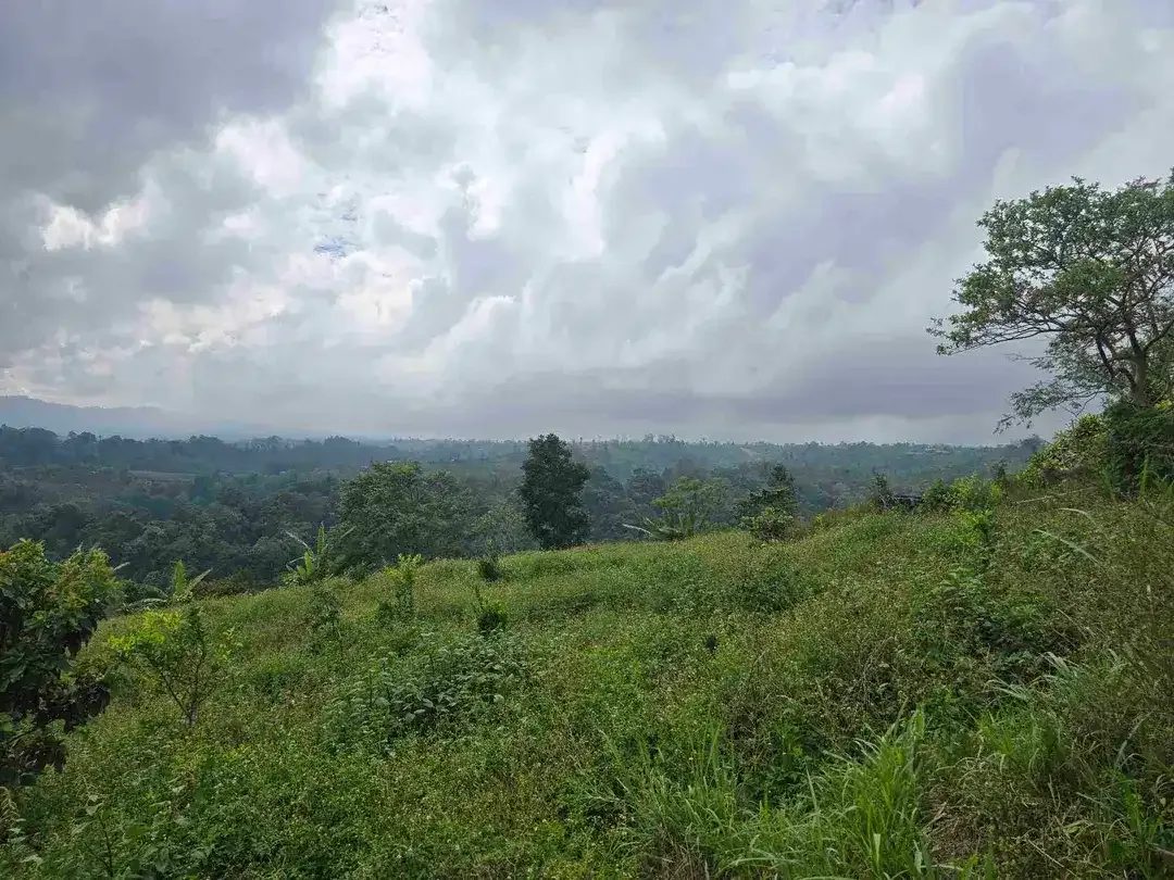 Dijual tanah view lembah sangat cantik di kintamani bali - Image 6 of 10