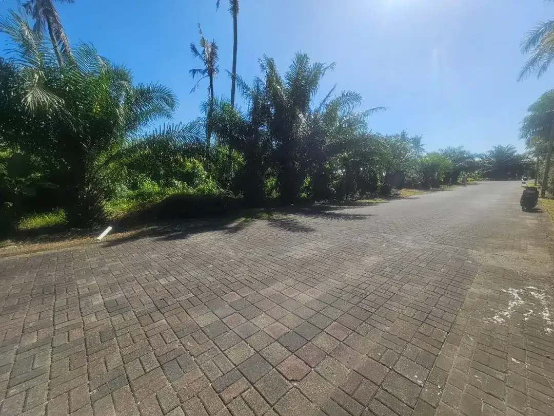 Tanah view sawah Greenlot munggu - Image 3 of 10