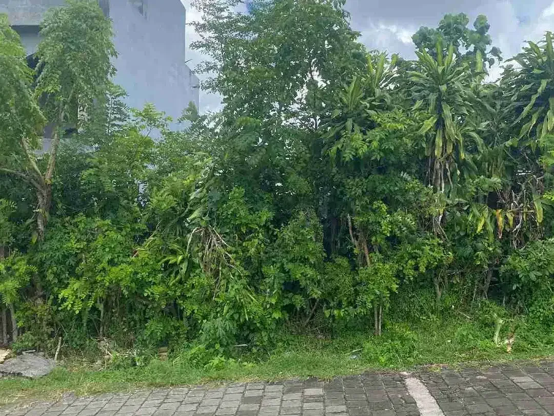Tanah Siap Bangun Dekat Pantai Balangan - Image 4 of 10