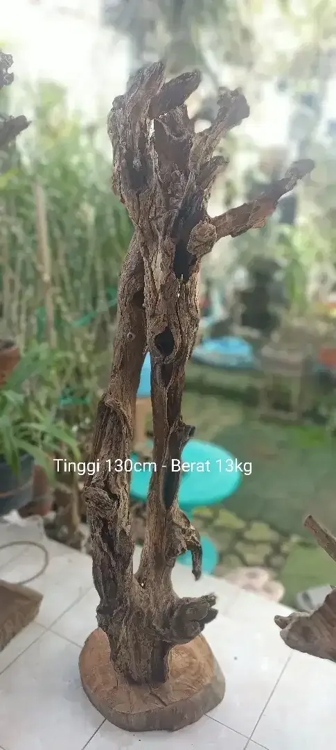 Kayu Fosil tinggi, unik, estetik - Image 2 of 2
