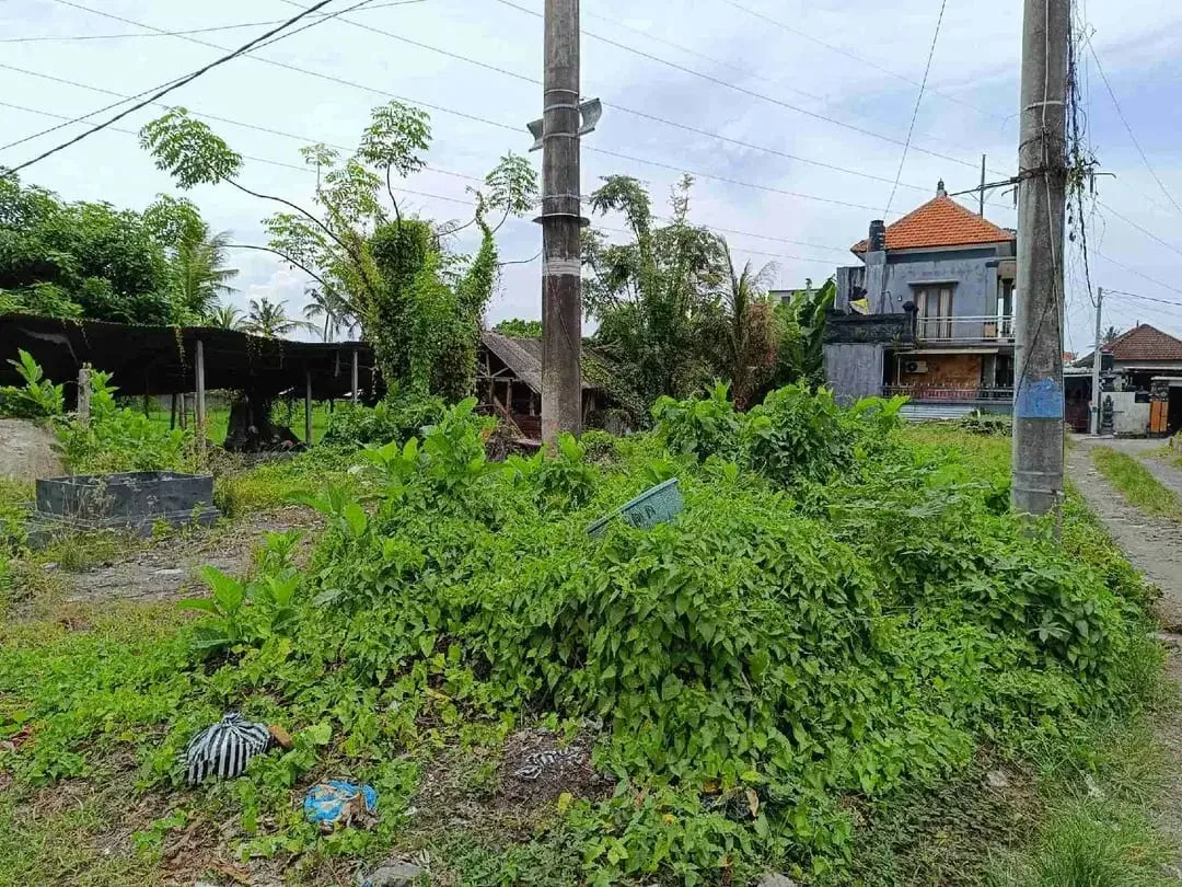 Tanah Cocok Untuk Toko dan Usaha Pinggir Jalan Utama Pering Tojan Blahbatuh - Image 4 of 4
