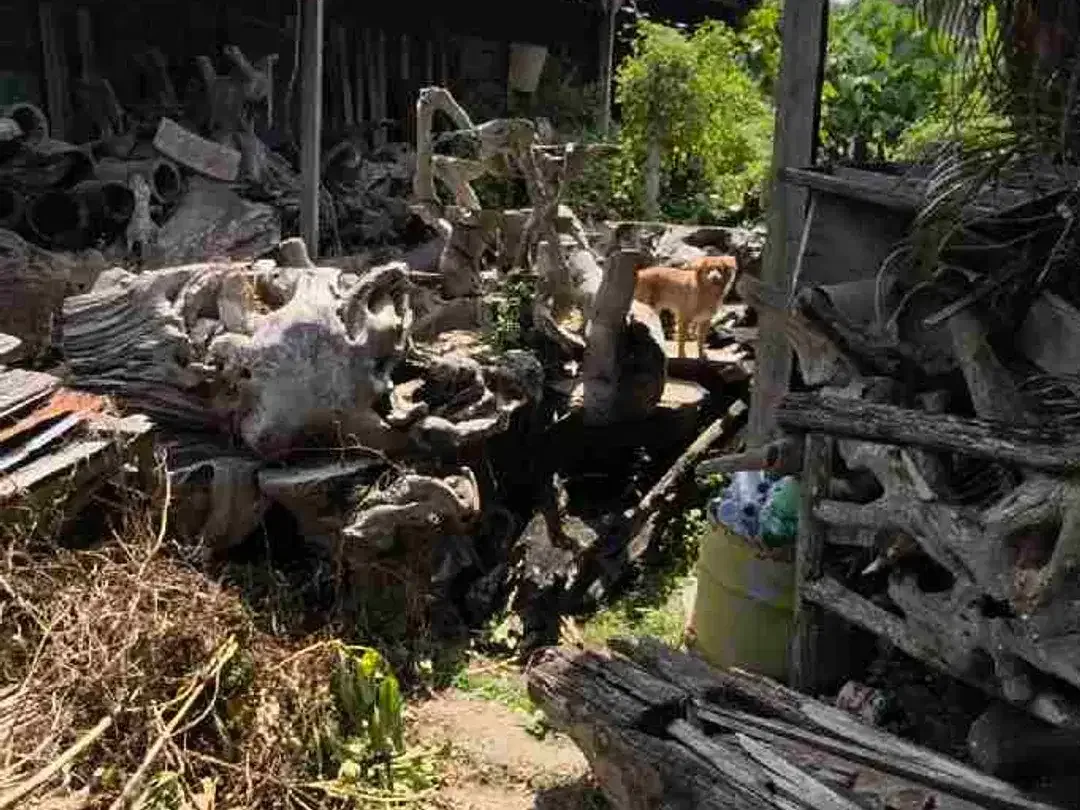 Lahan Langka plot kecil zona Kuning gg nangka kerobokan area nyaman strategis bebas banjir - Image 6 of 6