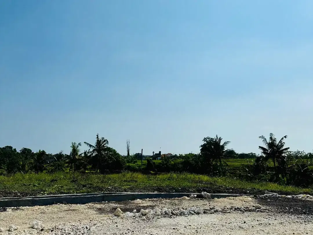 LAND FOR SALE KEDUNGU RICEFIELD VIEW SUROUND - Image 10 of 10