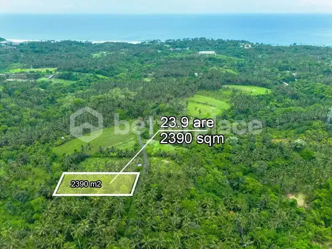 Prestigious 23.9 are Freehold Jungle Land in Balian – A Rare Investment Opportunity Blending Natural Serenity with Coastal Elegance - Image 1 of 10