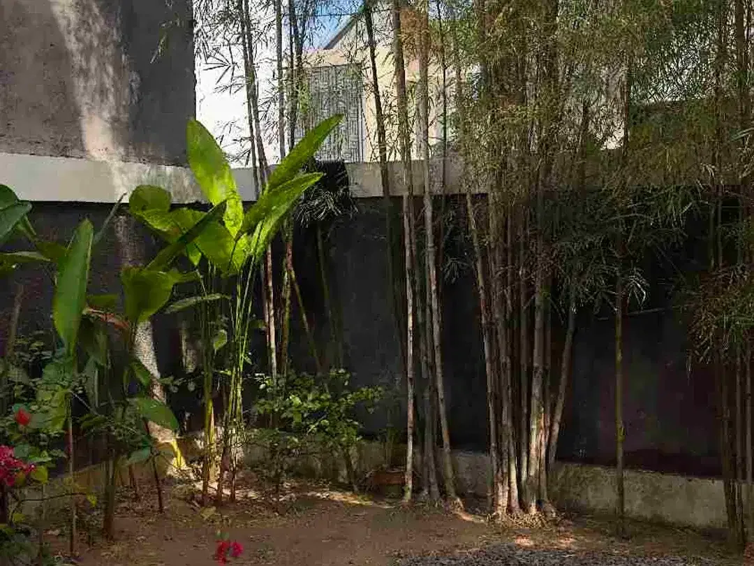 Rumah untuk di jual - Image 5 of 6