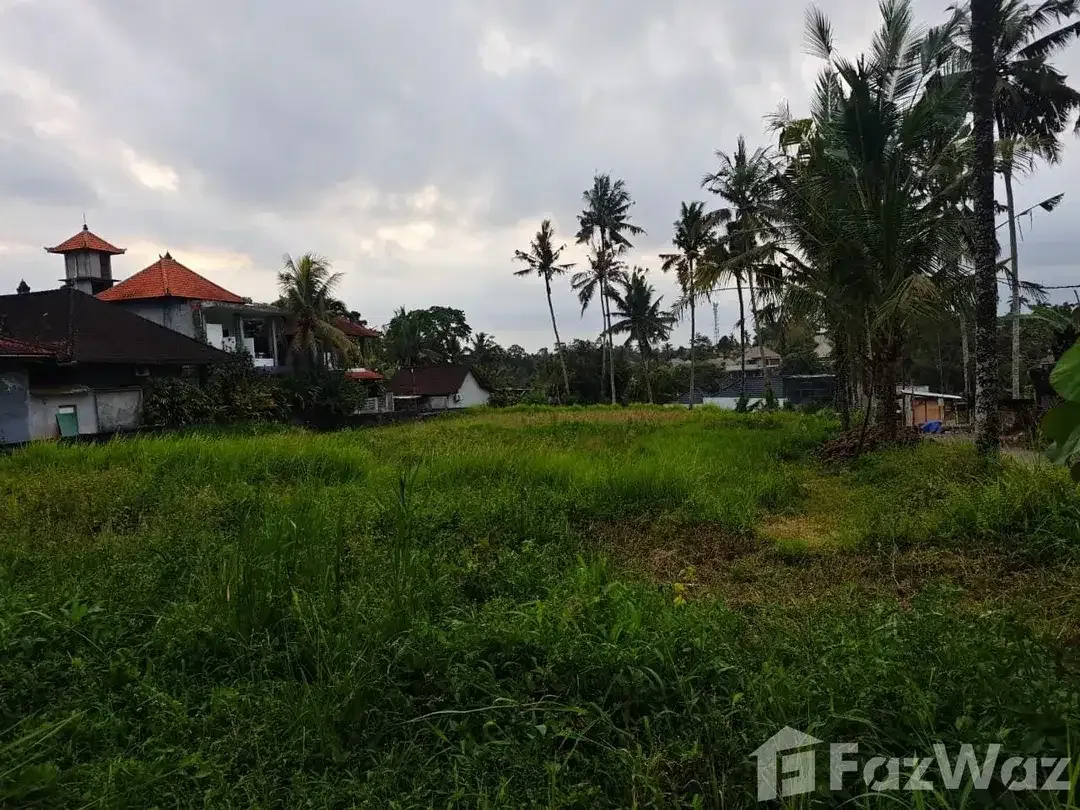Land for sale in Ubud, Bali - Image 1 of 8