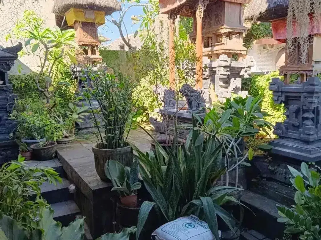 Dijual rumah di pusat kota denpasar
Lokasi di batanta teuku umar - Image 5 of 10