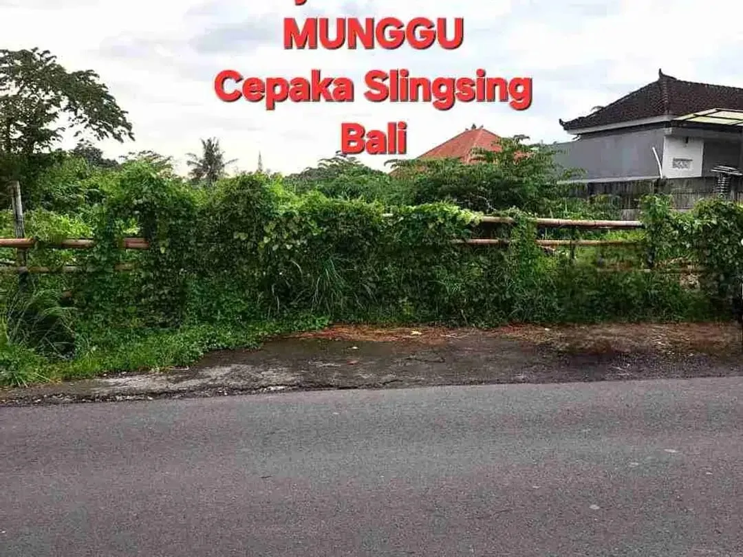 Jual Tanah 49,9are di jln RAYA MUNGGU Cepaka Slingsing, dkt Tumbak bayuh, pererenan Bali - Image 4 of 10