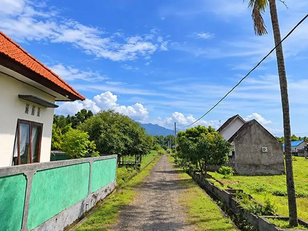 AMS-008.SH | Super Murah Dijual Tanah Kavling Perumahan di Celukan Bawang – Gerokgak, Singaraja - Image 2 of 10