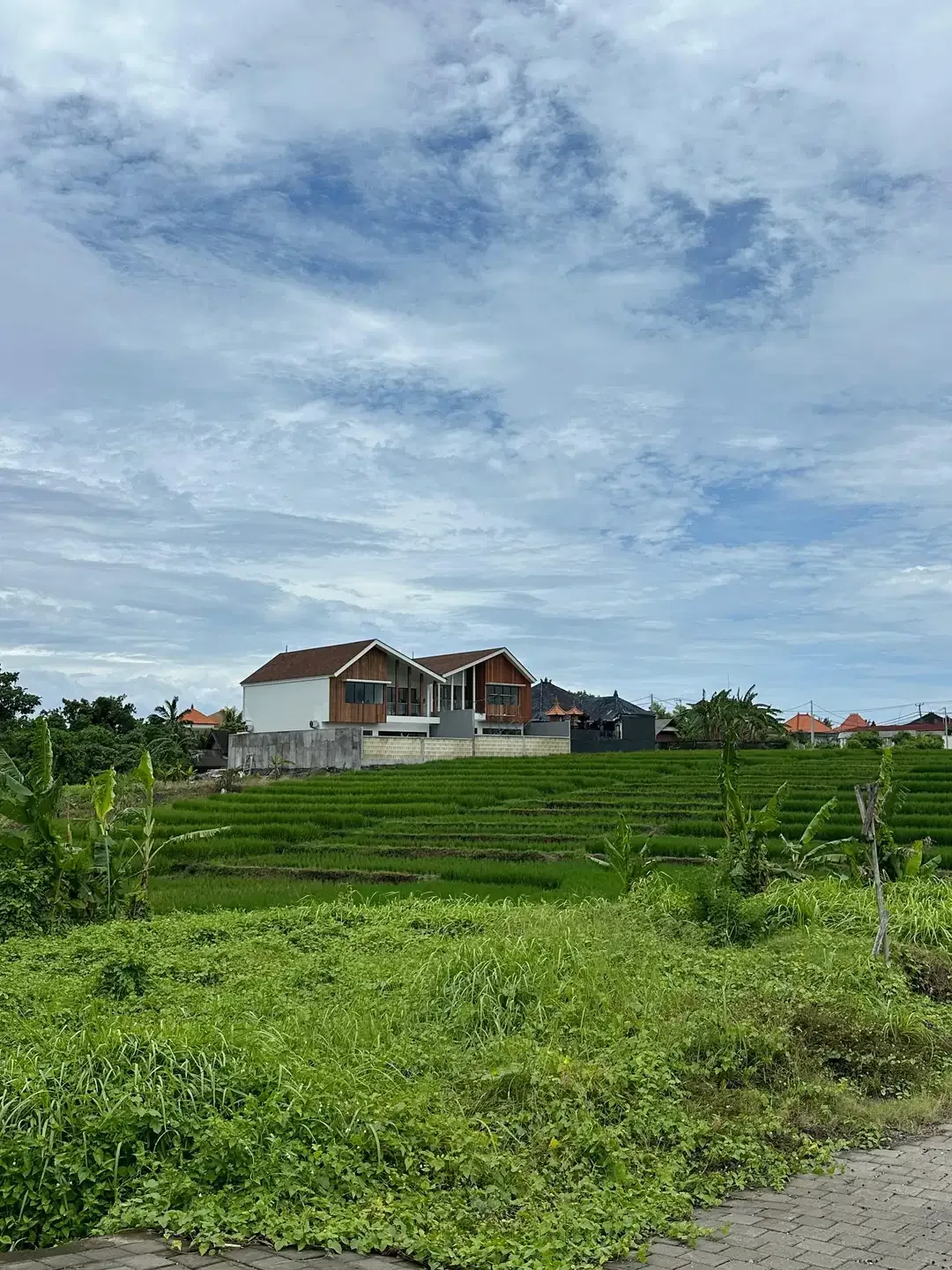 TANAH VIEW SAWAH SUNSET SUNRISE DEKAT CANGGU KEDUNGU - Image 1 of 7