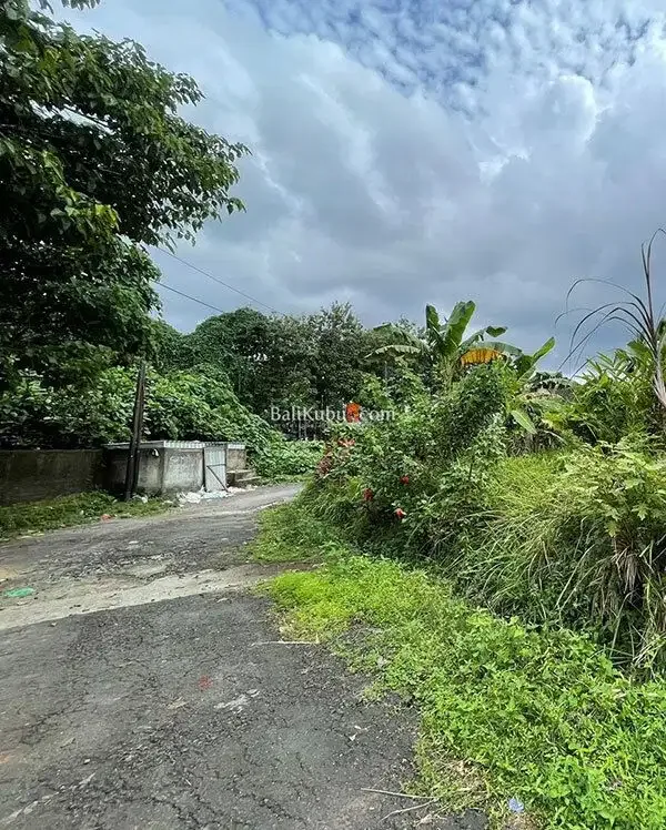[AMS-114.BL-J] Jual Murah Tanah Kavling 173m2 di Perum Senapahan Tbn - Image 4 of 10