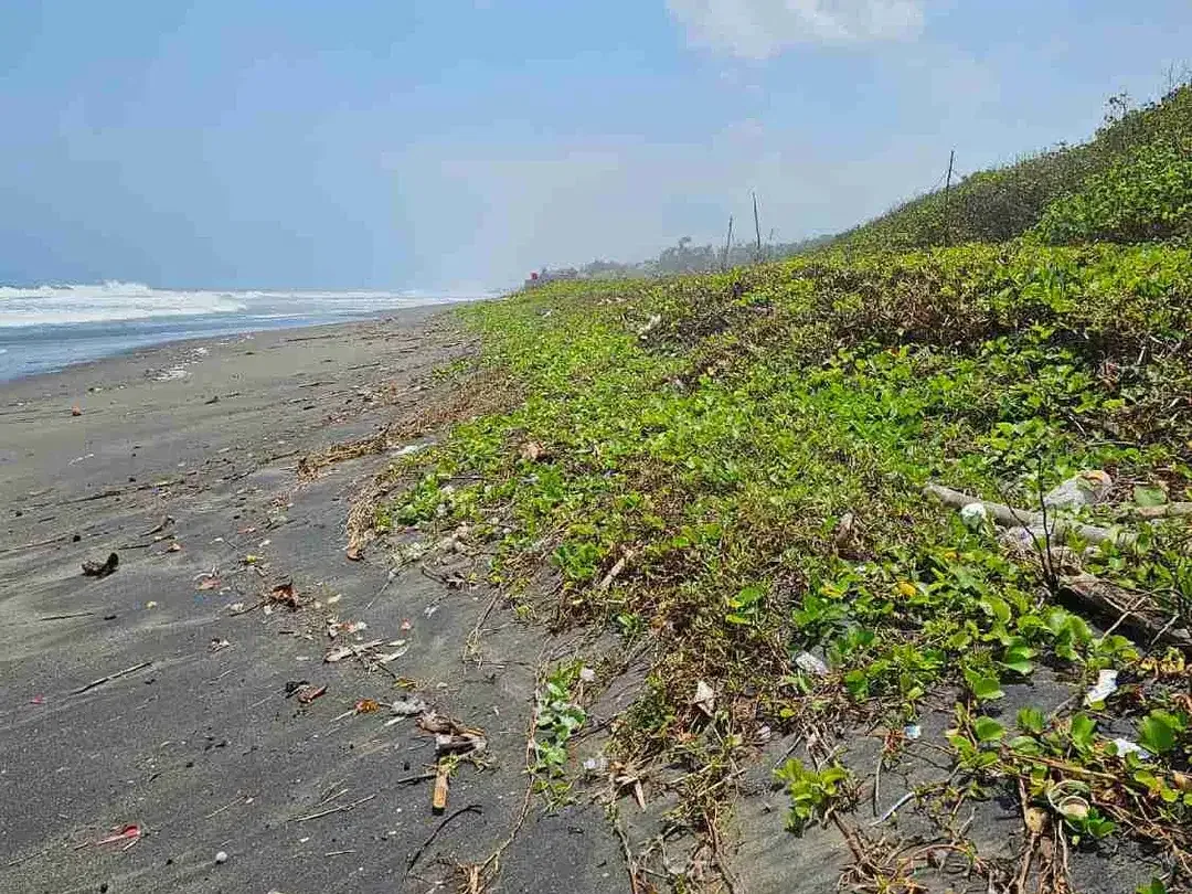 Beach Front Land di Pantai Yeh Gangga Tabanan Bali - Image 2 of 4