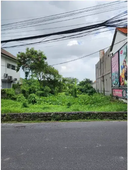 Tanah 25 Are  JI. Subak Sari BERAWA CANGGU - Image 2 of 8