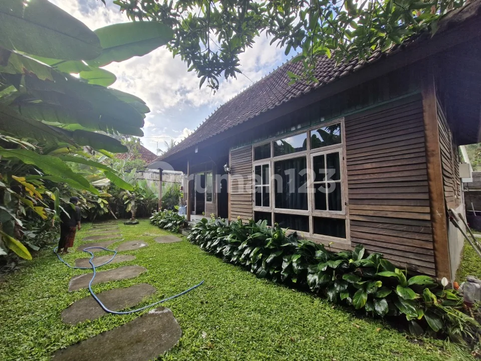 Rumah Kontrakan Bagus Furnished SHM Ubud, Gianyar - Image 2 of 4
