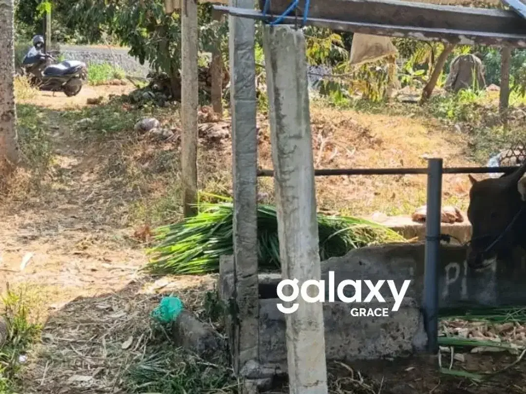DIJUAL TANAH DI KUBUTAMBAHAN BULELENG - Image 3 of 6