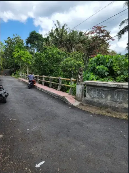 Disewakan tanah murah 4 hektar di Gianyar - Image 8 of 10