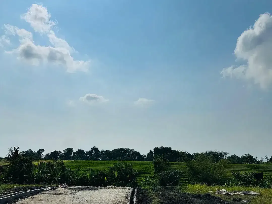 TANAH PERERENAN CANGGU KEDUNGU SIAP BANGUN VILLA - Image 10 of 10