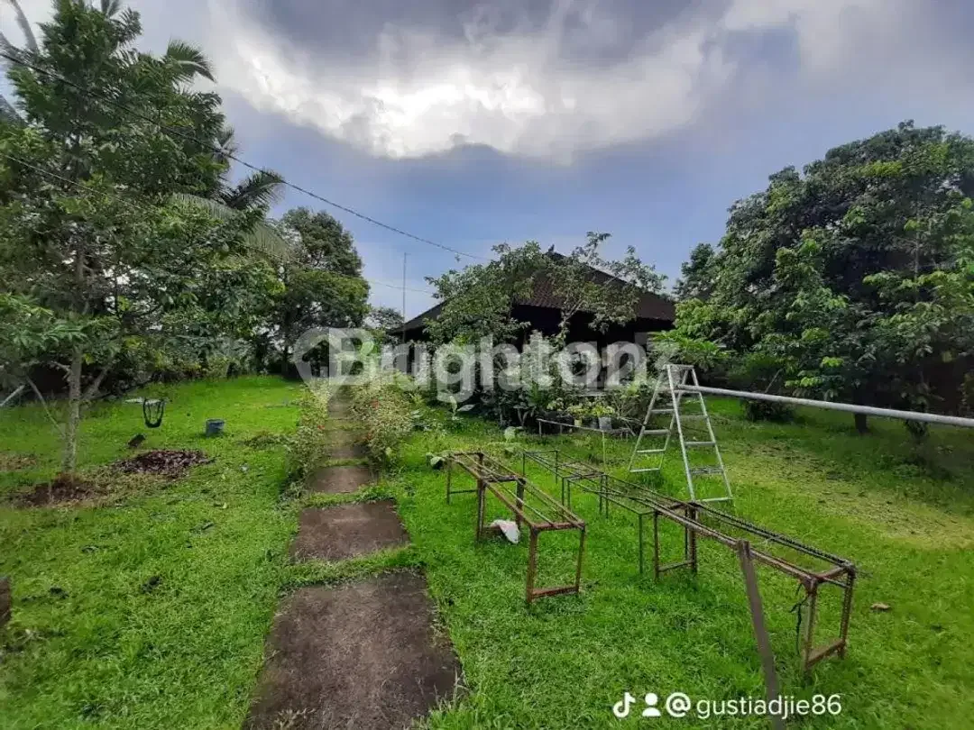 TANAH 2850 M TABANAN PENEBEL BALI STRATEGIS DEKAT WISATATABANAN BEDUGUL - Image 3 of 5