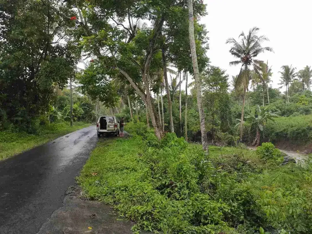 Tanah Strategis Luas Lingkungan Asri di Antap Tabanan - Image 7 of 8