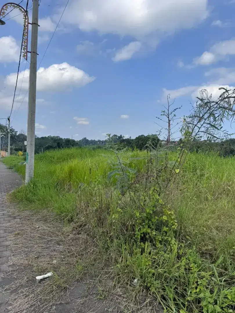 35 menit to Canggu, yeh Gangga Beach - Image 5 of 5