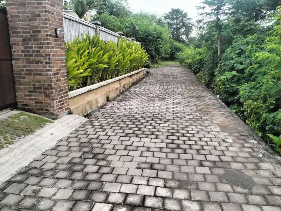 Tanah Bagus Kawasan Villa Sangat Bagus Siap Bangun Startegis Canggu - Image 3 of 4