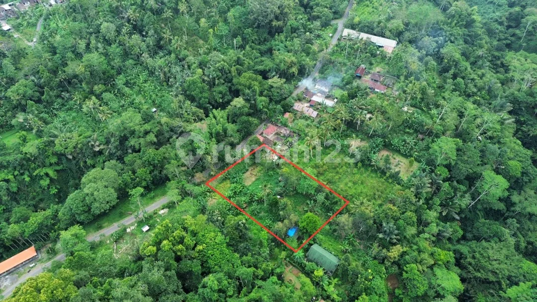 Dijual Lahan Murah di Taro Gianyar View Hutan - Image 4 of 4