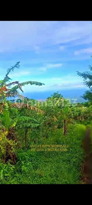 45 Are View Laut Dekat Tower Turyapada Gitgit Buleleng Bali Murah! - Image 2 of 4