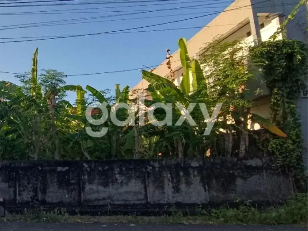 TANAH KOMERSIL DRUPADI RENON DENPASAR, BALI - Image 4 of 6