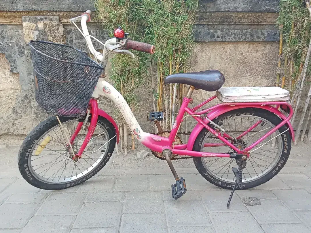 Sepeda anak perempuan WIMCYCLE STRAWBERRY R 20 - Image 2 of 3